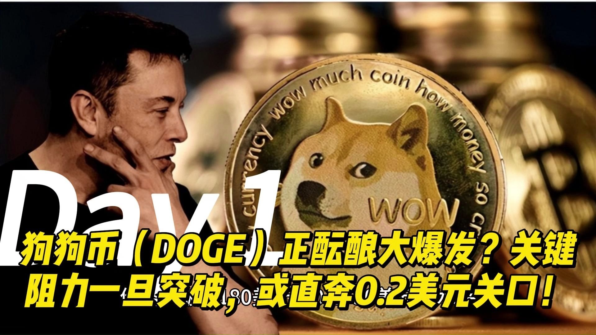 狗狗币上扬势惊人，一夜飙升AVAX%，加密市场沸腾